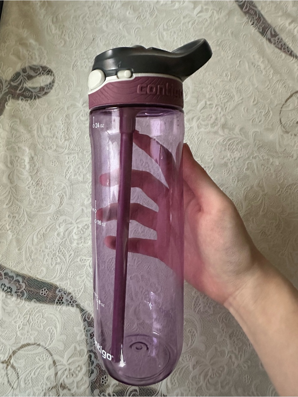 Contigo 24 oz Plum Purple Water Bottle with Straw – Durable Everyday Hydration
